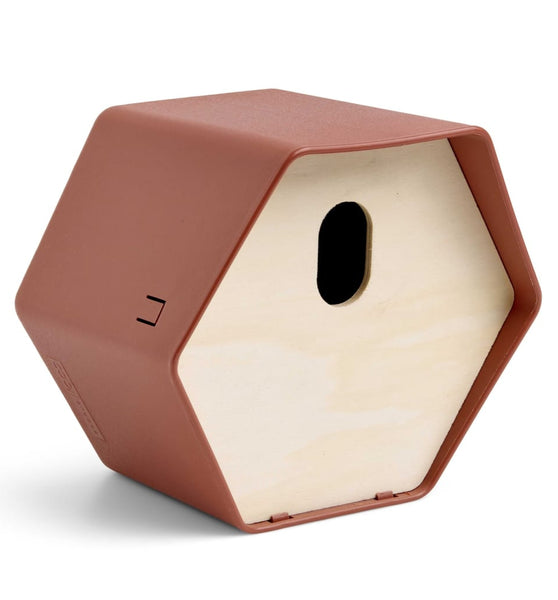 Vogelhäuschen Hive 2 19x23x20 cm Ovales Loch Braun