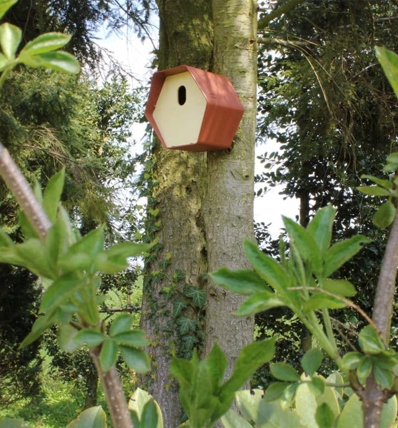 Vogelhäuschen Hive 2 19x23x20 cm Ovales Loch Braun