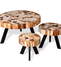3-tlg. Couchtisch-Set Altholz Massiv