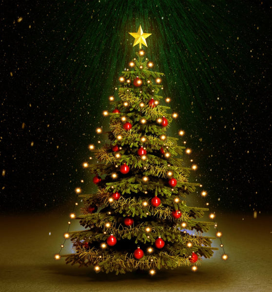 Weihnachtsbaum-Lichternetz mit 150 LEDs 150 cm