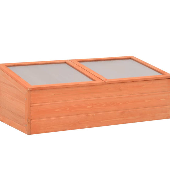 Frühbeet Holz 100x50x34 cm