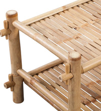 Schuhregal mit 2 Böden Bambus