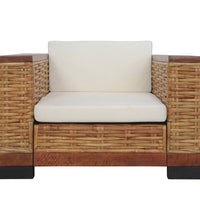 Sessel mit Kissen Braun Natur Rattan