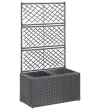 Hochbeet mit Rankgitter 2 Töpfe 58×30×107cm Poly Rattan Schwarz