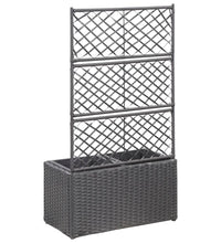 Hochbeet mit Rankgitter 2 Töpfe 58×30×107cm Poly Rattan Schwarz
