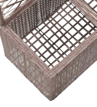 Hochbeet mit Rankgitter 2 Töpfe 58×30×107cm Poly Rattan Braun
