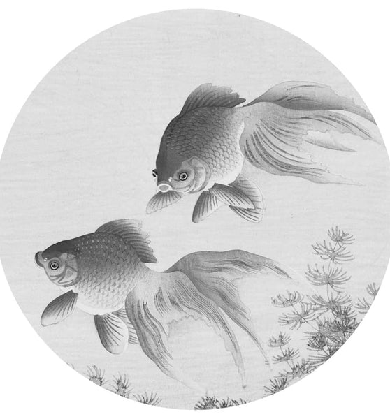 WallArt Fototapete Two Goldfish Rund 190 cm
