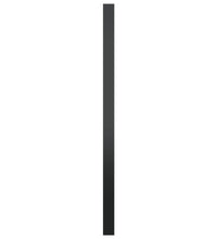 Wandspiegel Schwarz 60 cm
