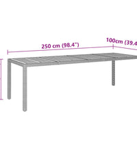 Gartentisch Grau 250x100x75 cm Poly Rattan & Massivholz Akazie