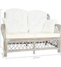 2-Sitzer-Sofa Grau Rattan