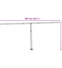 Stützen für Markisen Anthrazit 600x245 cm Eisen