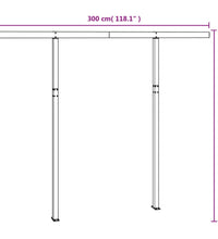 Stützen für Markisen Anthrazit 300x245 cm Eisen