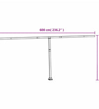 Stützen für Markisen Weiß 600x245 cm Eisen