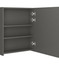 LED-Bad-Spiegelschrank Anthrazit 50x14x60 cm