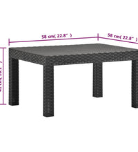 2-tlg. Garten-Lounge-Set mit Kissen PP Rattan Anthrazit