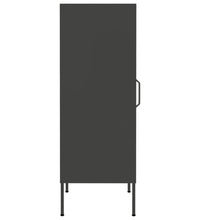 Lagerschrank Anthrazit 42,5x35x101,5 cm Stahl