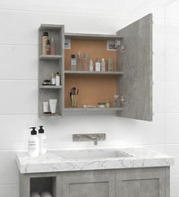 Spiegelschrank mit LED Betongrau 70x16,5x60 cm