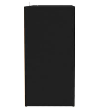 Schuhschrank Schwarz 60x35x70 cm Holzwerkstoff