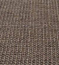 Teppich Natur Sisal 66x200 cm Braun