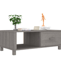 Couchtisch HAMAR Hellgrau 100x55x35 cm Massivholz Kiefer