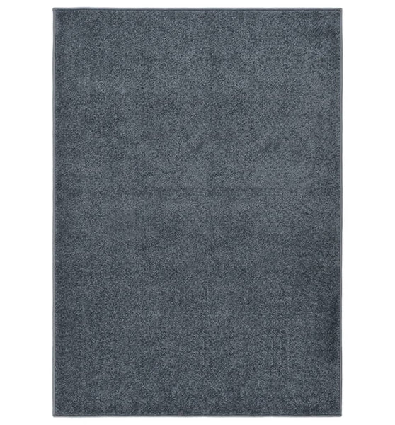 Teppich Kurzflor 240x340 cm Anthrazit