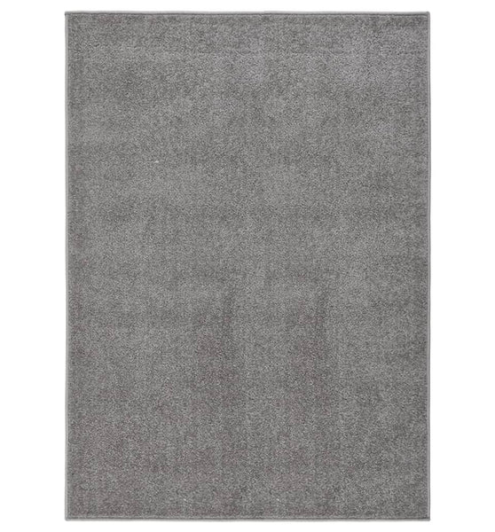 Teppich Kurzflor 120x170 cm Grau