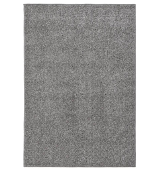 Teppich Kurzflor 160x230 cm Grau