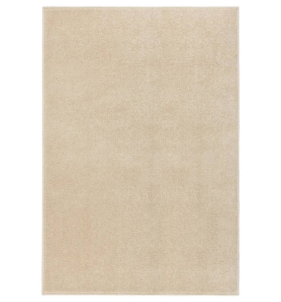 Teppich Kurzflor 200x290 cm Beige