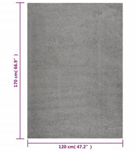 Teppich Shaggy Hochflor Grau 120x170 cm