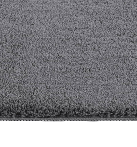 Teppich Waschbar Flauschig Kurzflor 120x170 Rutschfest Anthrazi