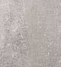 Schuhschrank mit Spiegel 2 Fächer Betongrau 63x17x67 cm