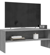 TV-Schrank Grau Sonoma 100x40x40 cm Holzwerkstoff