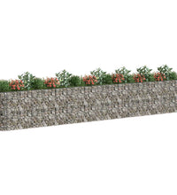 Gabionen-Hochbeet Verzinktes Eisen 610x50x100 cm