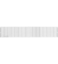 Gabionen-Hochbeet Verzinktes Eisen 610x50x100 cm