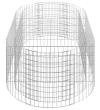 Gabionen-Hochbeet Verzinktes Eisen 200x100x50 cm