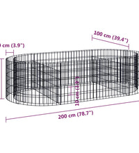 Gabionen-Hochbeet Verzinktes Eisen 200x100x50 cm