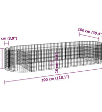 Gabionen-Hochbeet Verzinktes Eisen 300x100x50 cm