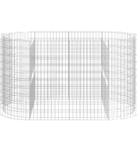Gabionen-Hochbeet Verzinktes Eisen 200x100x100 cm