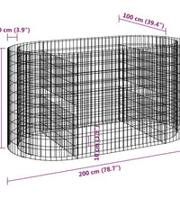 Gabionen-Hochbeet Verzinktes Eisen 200x100x100 cm