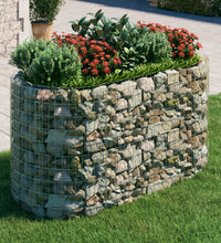 Gabionen-Hochbeet Verzinktes Eisen 200x100x100 cm