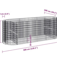 Gabionen-Hochbeet Verzinktes Eisen 300x100x100 cm