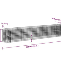 Gabionen-Hochbeet Verzinktes Eisen 600x100x100 cm