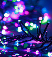 LED-Lichterkette mit 2000 LEDs Pastell Mehrfarbig 17 m PVC