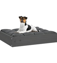 Hundebett Grau 51,5x44x9 cm Massivholz Kiefer