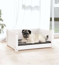 Hundebett Weiß 65,5x50,5x28 cm Massivholz Kiefer