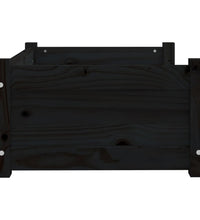 Hundebett Schwarz 65,5x50,5x28 cm Massivholz Kiefer