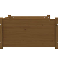 Hundebett Honigbraun 75,5x55,5x28 cm Massivholz Kiefer