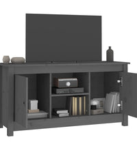 TV-Schrank Grau 103x36,5x52 cm Massivholz Kiefer