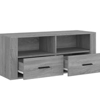 TV-Schrank Grau Sonoma 100x35x40 cm Holzwerkstoff