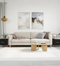 Couchtische 2 Stk. Schwarz 50x50x40 cm Holzwerkstoff